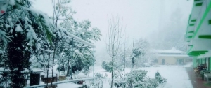 Anandmayi Snowfall
